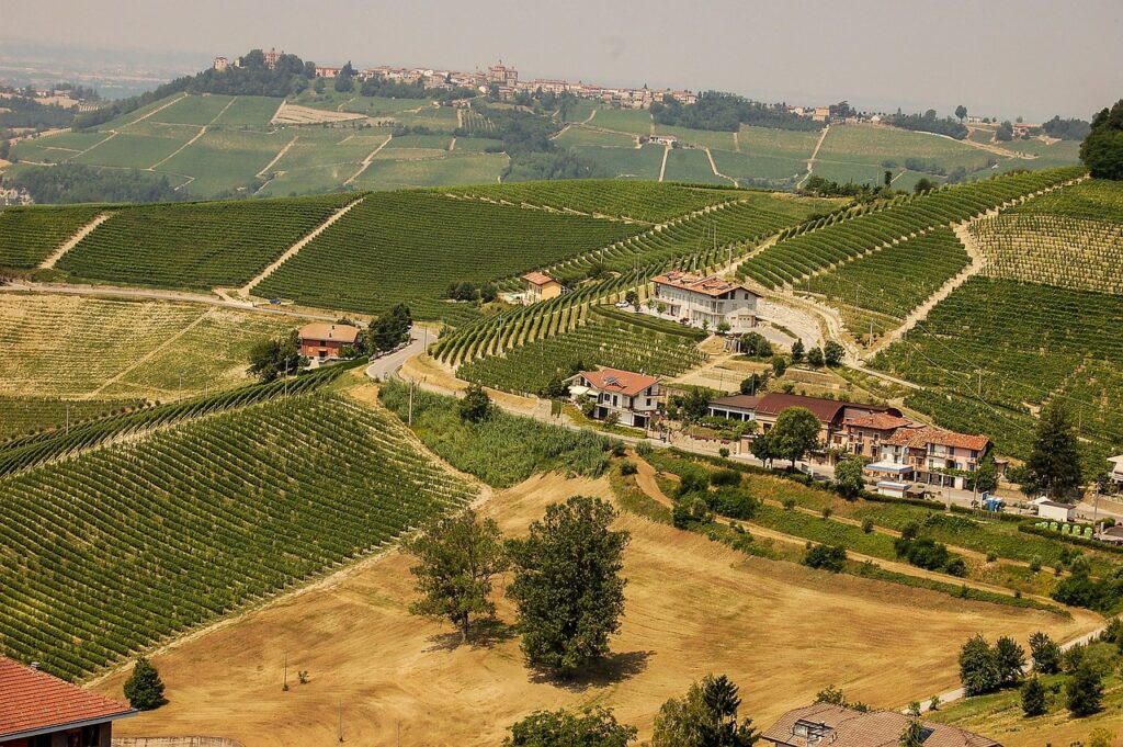 Houses-for-sale-Piedmont: our landscapes, ancient villages, a sea of ​​hills, vineyards as far as the eye can see