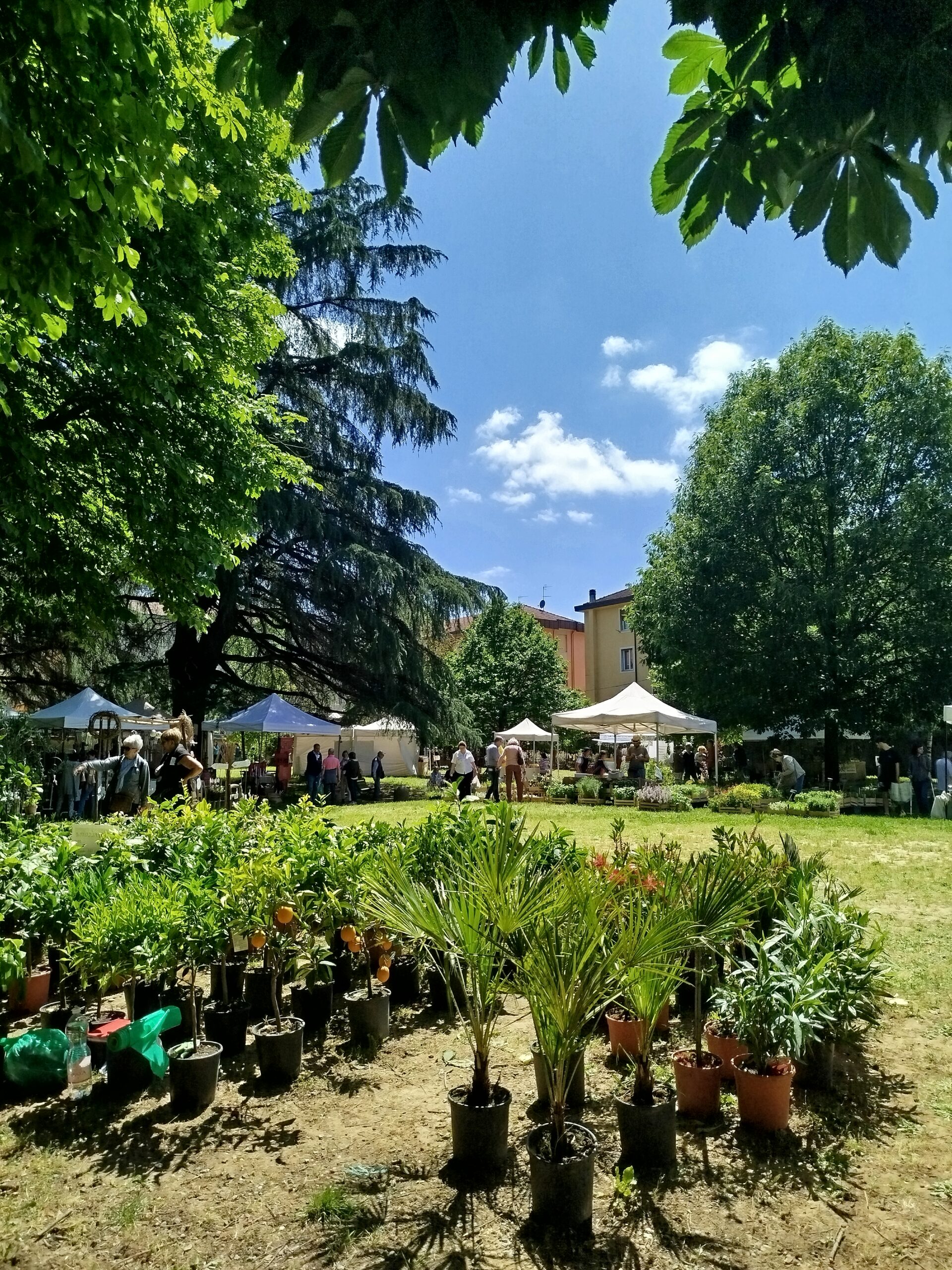 As a landscape architect I organize a flower and nursery exhibition: Fiorissima in Ovada AL